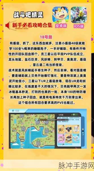 口袋妖怪攻击秘籍,深度揭秘战斗策略与技巧