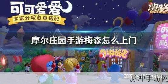 摩尔庄园手游，解锁梅森庄园现身秘籍与上门服务技巧全攻略