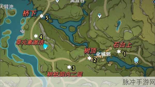 原神须弥征讨领域探索指南，解锁位置与攻略详解