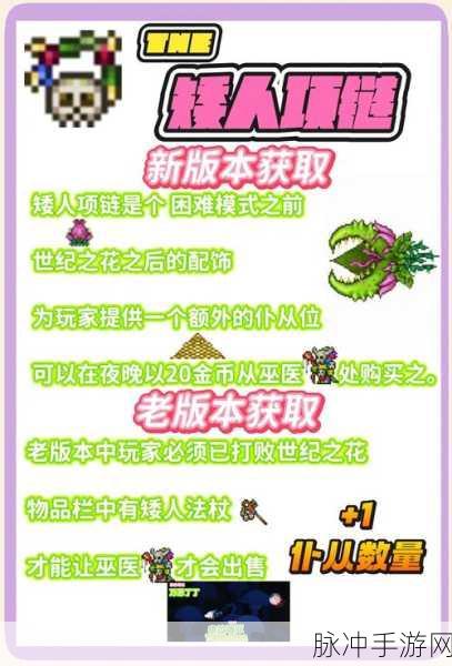 泰拉瑞亚瓶中精灵获取全攻略,最佳方法与步骤深度解析
