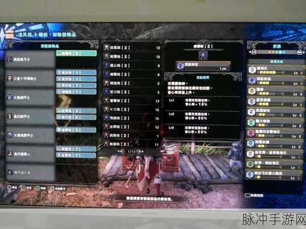 怪物猎人P3，射手与剑士的顶级装备指南