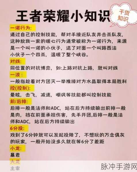 王者荣耀遇到小学生,策略应对与游戏环境优化指南
