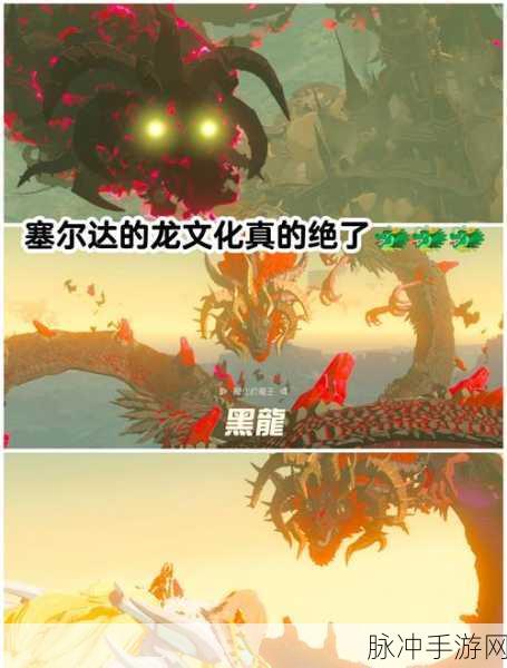 塞尔达传说2025年新篇章深度攻略,智慧传承,揭示败者轨迹的探险之旅
