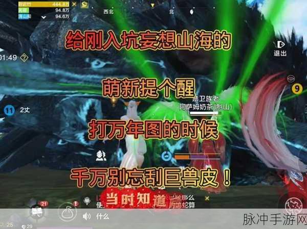 妄想山海冰漓兽攻略详解与实战指南