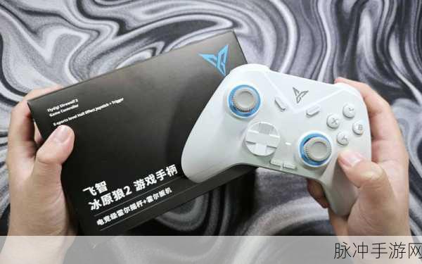 冰原守卫者深度攻略，揭秘仓管管家获取与妙用