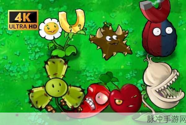 植物大战僵尸深度攻略,揭秘大蒜的制胜策略与实战技巧