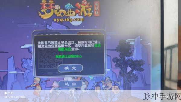 梦幻西游手游桌面版无法启动程序全面解析与攻略