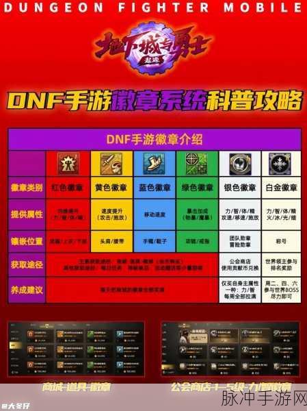 DNF游戏中哪些装备部位可以镶嵌红色徽章全面解析