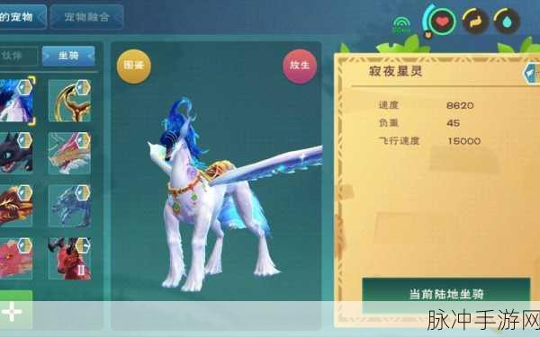 寂夜精灵坐骑获取全攻略,解锁创造与魔法梦幻之旅