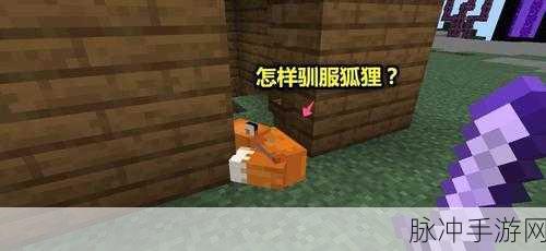 我的世界手游深度攻略,如何打开狐狸的背包及其玩法详解