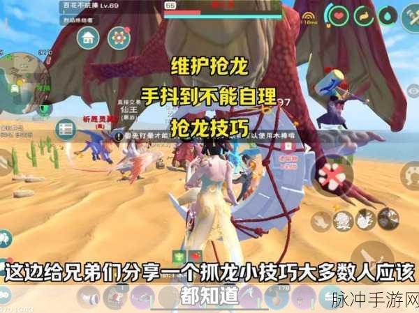 手游深度攻略,解锁创造与魔法秘法灵龙资质培养全解析
