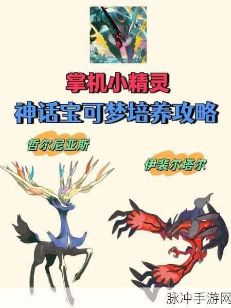 口袋妖怪对决神话之翼，哲尔尼亚斯属性技能图鉴详解与战术分析