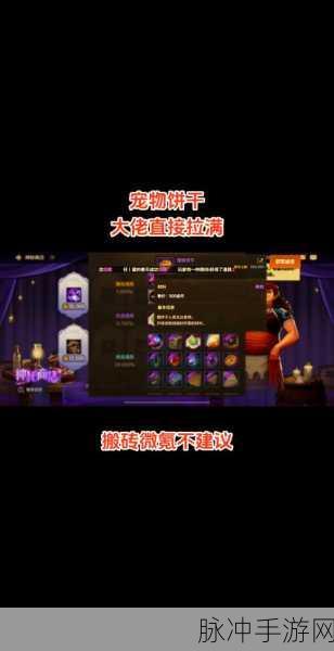 阴阳师勋章商店体力兑换全攻略,深度解析可换数量与每周兑换次数
