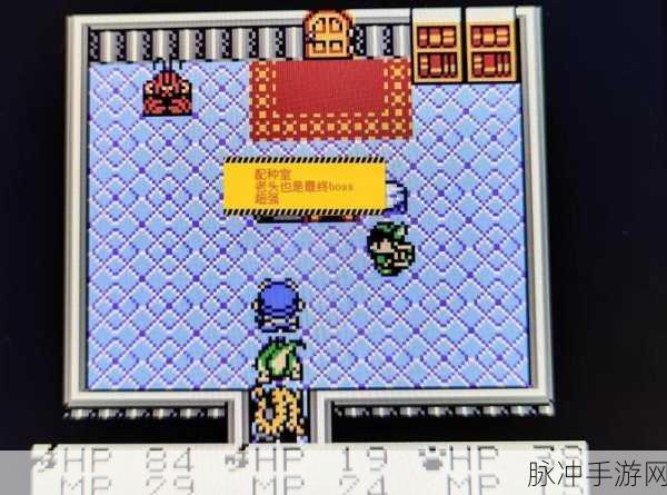 迷宫救援战士,沉浸式动作冒险之旅的游戏攻略