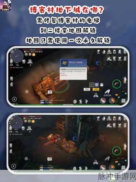 冰原守卫者组队模式深度攻略,协同作战,征服寒冰世界