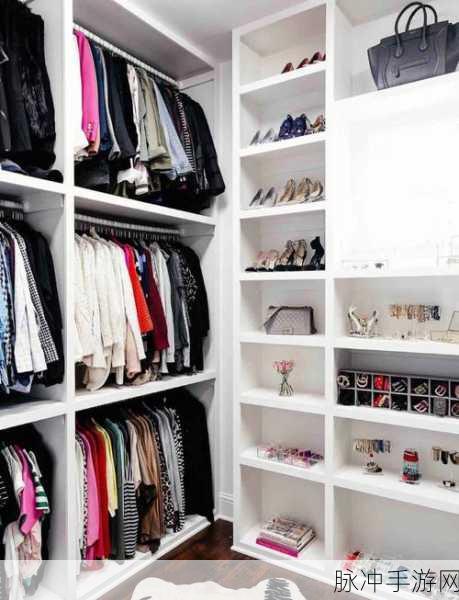 收纳换装高手,打造你的梦幻衣橱,轻松玩转收纳整理