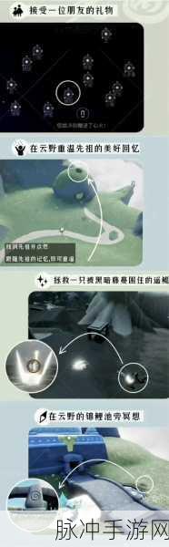 光遇解救困兽遥鲲全攻略与资源管理防浪费秘籍