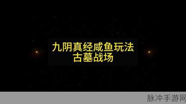 侠客风云传前传深度攻略,揭秘九阴真经及其重要角色与故事发展