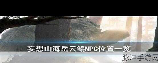 妄想山海云端岳云鲲捕捉全攻略,揭秘轻松获得稀有巨兽的秘诀