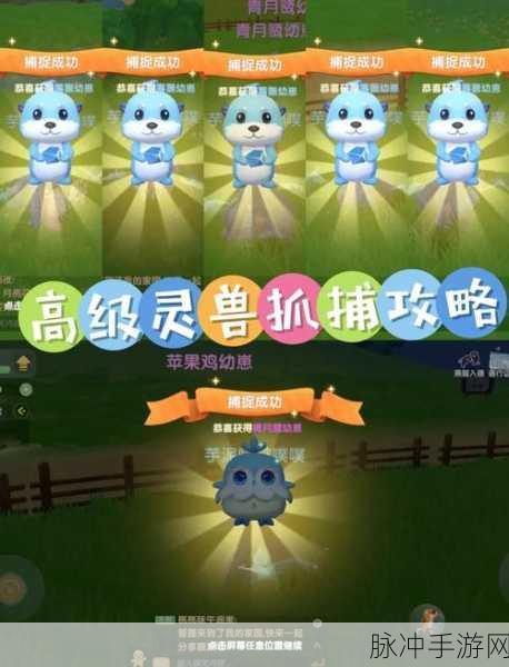 大话西游手游召唤兽捕捉全攻略，图文详解助你轻松捕获心仪宠物