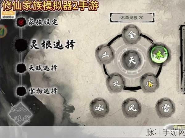 修仙家族模拟器2深度解析，金系法术功法全揭秘与修炼指南
