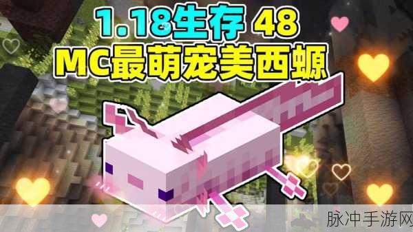 我的世界栓绳使用全攻略,轻松驾驭你的宠物伙伴
