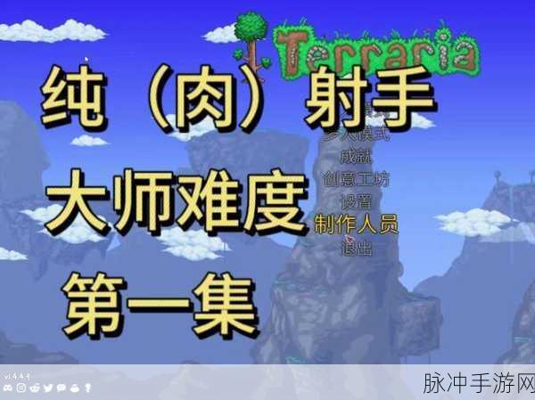 泰拉瑞亚手游攻略，夺命枪弹药选择与使用详解