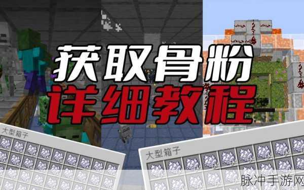 我的世界骨粉获取全攻略,解锁高效资源收集新技巧