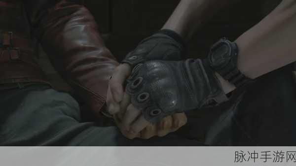 生化危机4重制版深度攻略,揭秘鸡窝金蛋的神奇效用