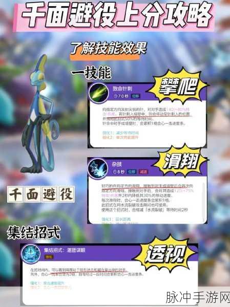 宝可梦大集结，单人单排玩法全攻略与梯度榜高效上分解析