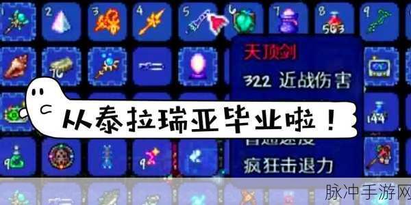 泰拉瑞亚战士锋芒毕露，极致输出攻略全解析