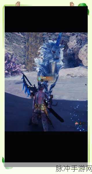 怪物猎人世界修炼,狩猎者的荣耀征途全攻略