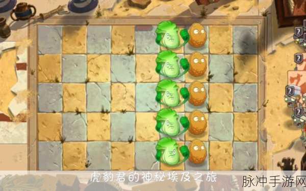 植物大战僵尸2深度攻略，仙人掌实力解析