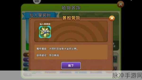 植物大战僵尸2深度攻略,仙人掌实力解析