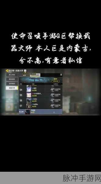 使命召唤手游深度攻略,如何展示你的武器大师标志