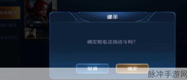 王者荣耀观战功能详解,访客记录是否存在?