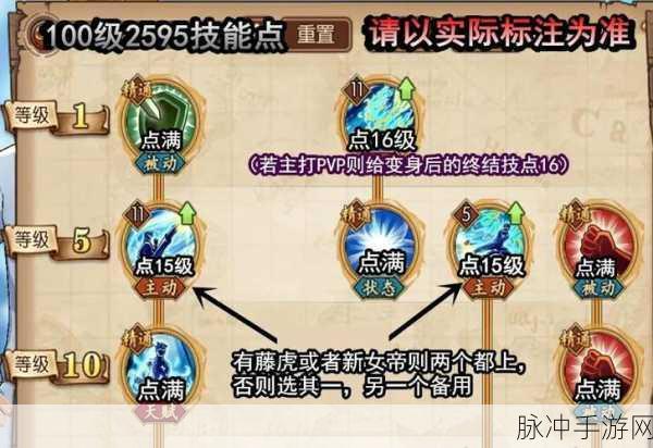 航海王强者之路,马尔高阵容搭配深度攻略