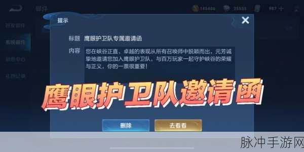 王者荣耀深度揭秘,如何加入精英团队鹰眼护卫队?