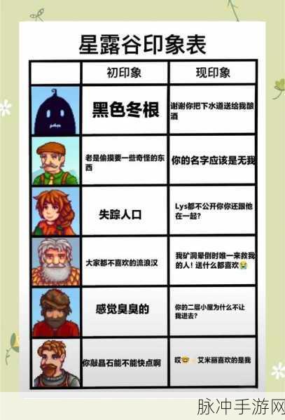 星露谷物语深度攻略,揭秘马鲁的喜好与互动技巧