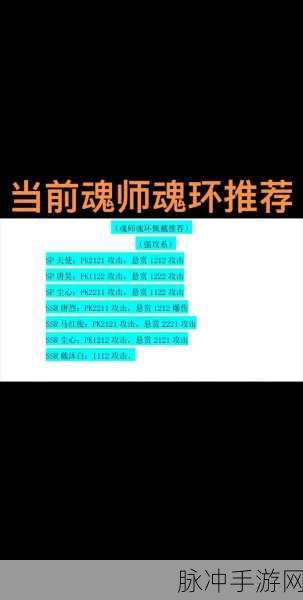 斗罗大陆魂师对决深度攻略，魂环属性及魂师加点选择全解析