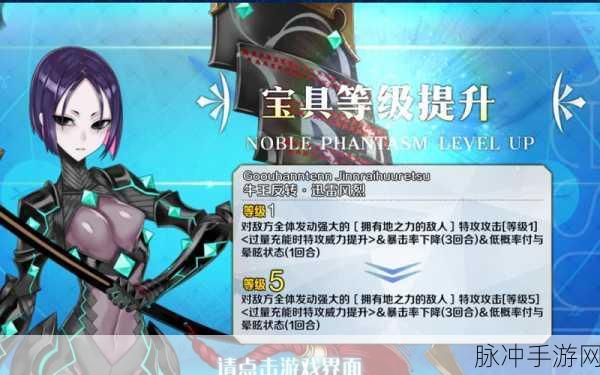 FGO改名功能受限解析，原因、影响及应对策略