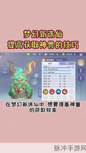 梦幻新诛仙神兽小灰技能全面解析，打造你的专属战斗伙伴