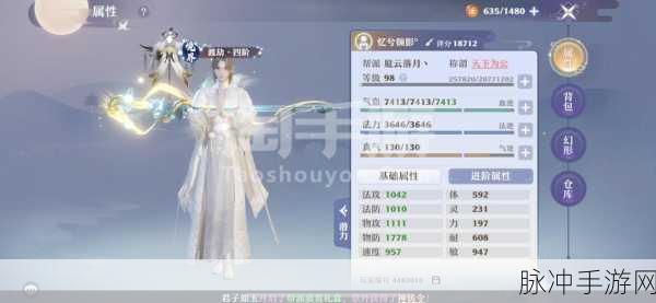 梦幻新诛仙神兽小灰技能全面解析,打造你的专属战斗伙伴