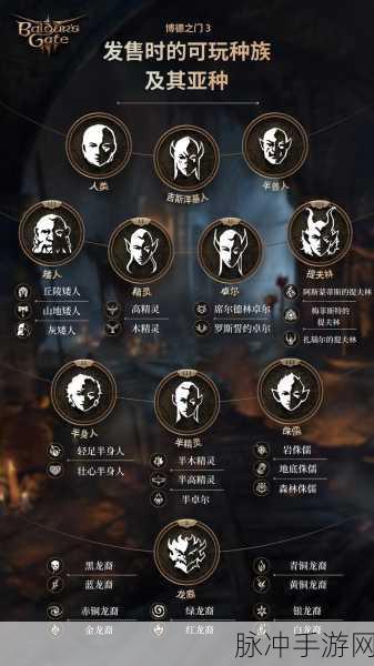 博德之门3深度解析，游戏体量之谜——为何第一章便占据80多GB？