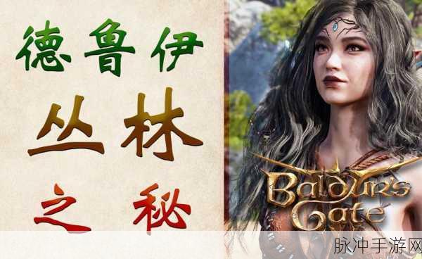博德之门3深度解析,游戏体量之谜——为何第一章便占据80多GB?
