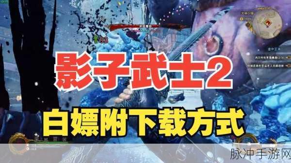 影子杀手中文版下载，深入大型动作RPG手游的极致体验