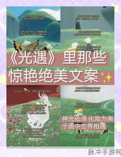 光遇，探索光明之旅，与好友共赴奇妙冒险