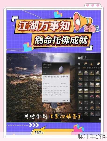 鹅鸭杀全隐藏成就攻略,解锁各隐藏成就的终极指南