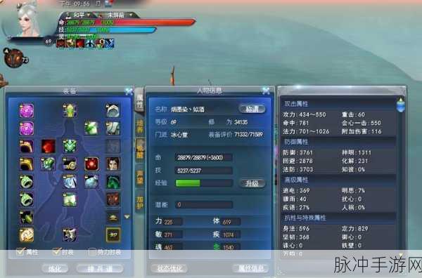天下3手游79级冰心职业深度攻略与技巧分享