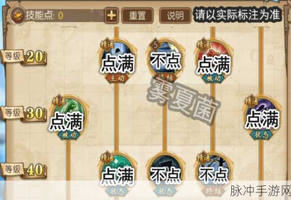 航海王燃烧意志,佳妮法技能加点深度解析与实战攻略